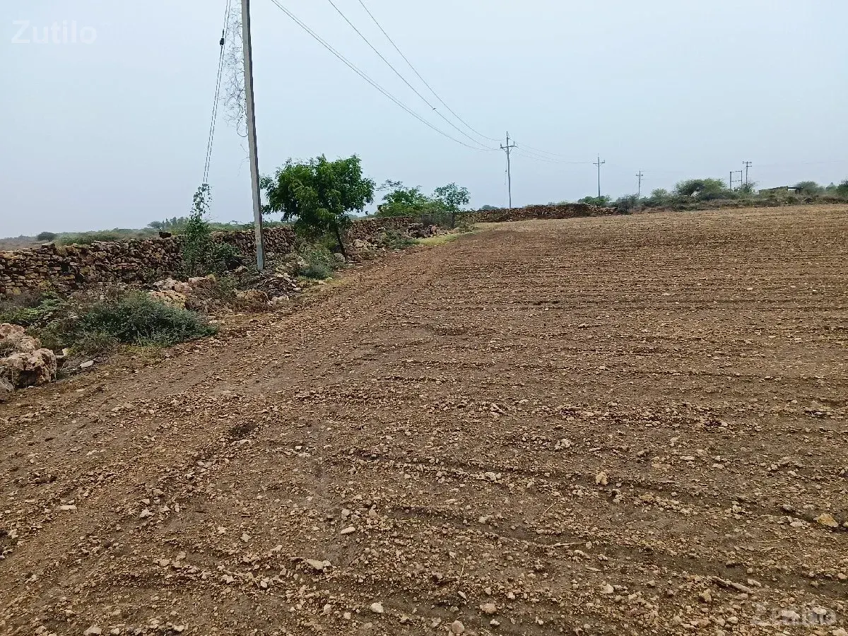 khety ni jamin 15 vigha - Land & Plots - Rajpipla - Image 3