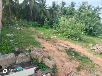 124 Vaar Open Plot for Sale in Mangrol