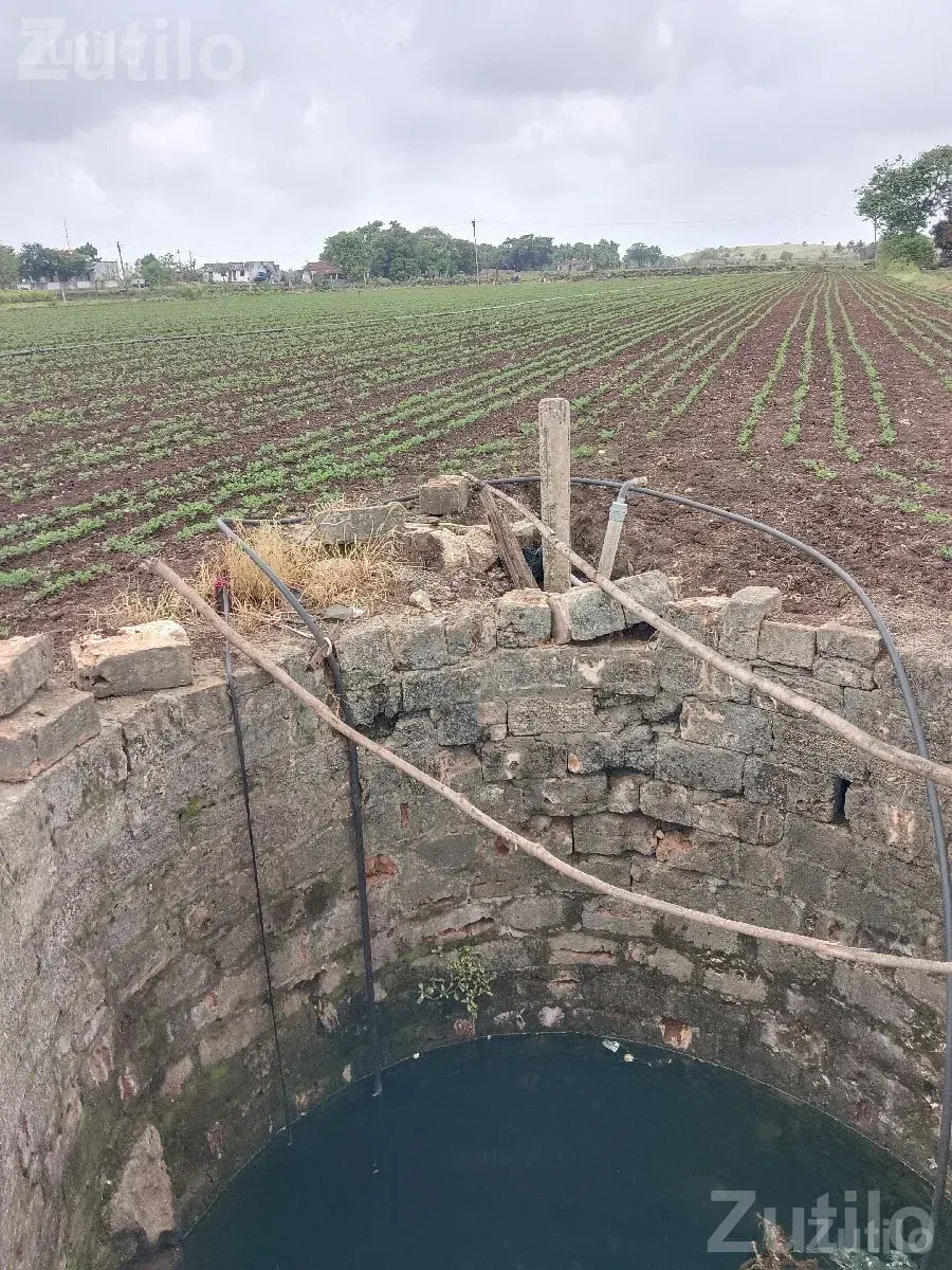 Five Vigha Agricultural Land with Well and Drip - Land & Plots - Dhokadva - Image 2
