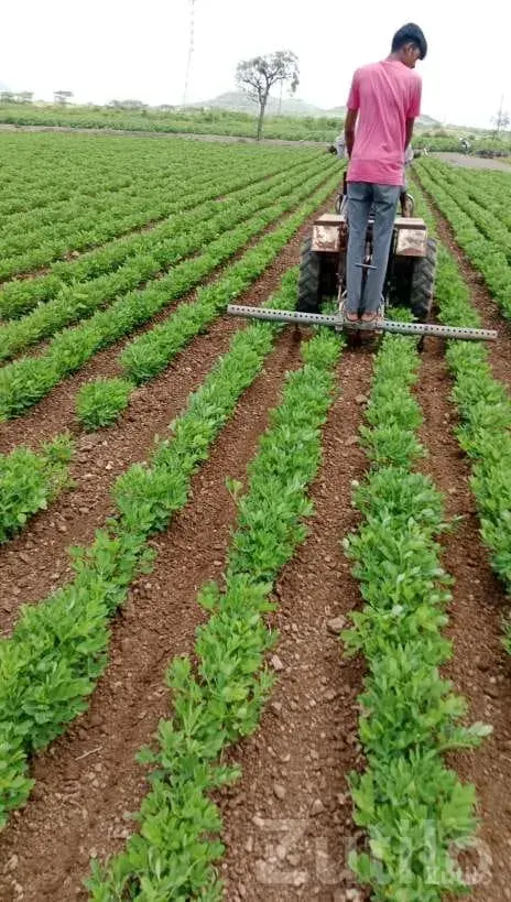 Farm Labour Couple Needed for Permanent Work - Labour / Helper - Jamjodhpur - Image 2