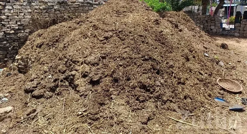Organic Cow Manure Fertilizer Bulk Sale - Land & Plots - Chhaya - Image 3