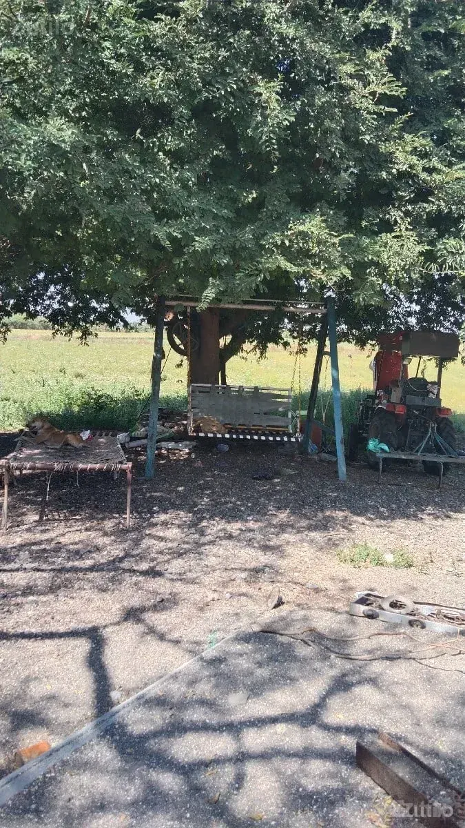 30 vigha vadi full pani - Land & Plots - Upleta - Image 3