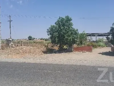 Road Touch Agricultural Plot in Upleta Road Touch Agricultural Plot in Upleta