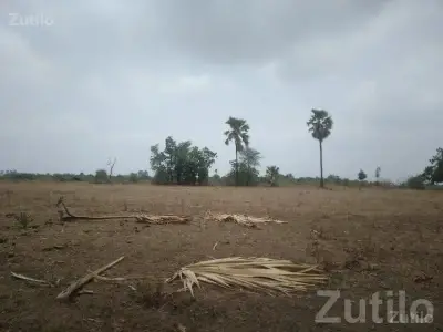 Open Agricultural Land Plot in Halol Open Agricultural Land Plot in Halol