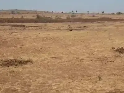 Open Agricultural Land Plot in Talala Open Agricultural Land Plot in Talala