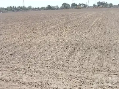 Fertile Agricultural Land in Porbandar Fertile Agricultural Land in Porbandar