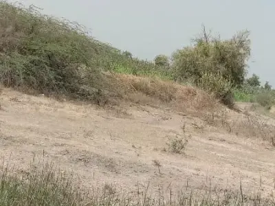 5 Vigha Road Touch Agriculture Land 5 Vigha Road Touch Agriculture Land