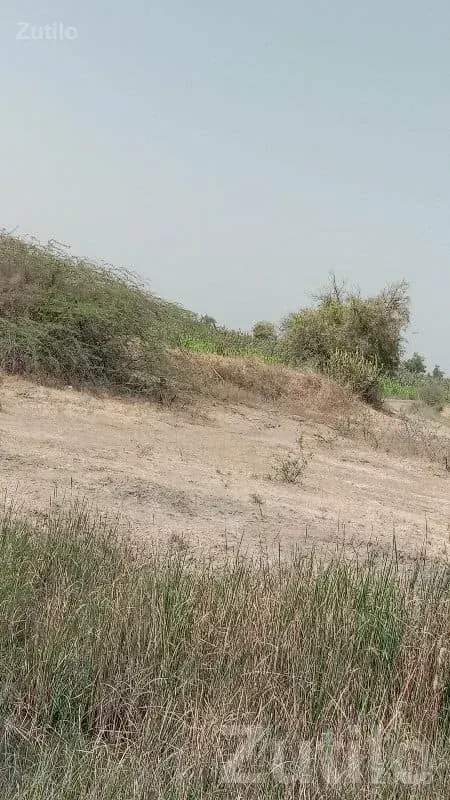 5 Vigha Road Touch Agriculture Land - Land & Plots - Surendranagar City - Image 1