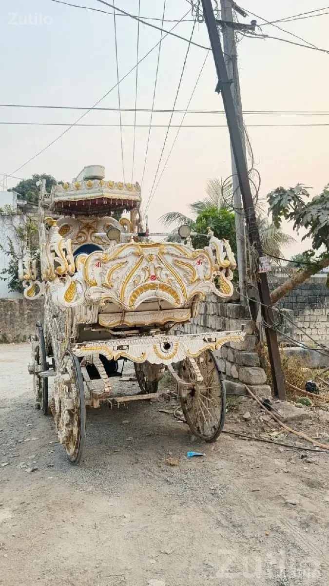Decorated Wedding Buggy Carriage Rental - ભાડે વાહનો - ઊના - Image 3