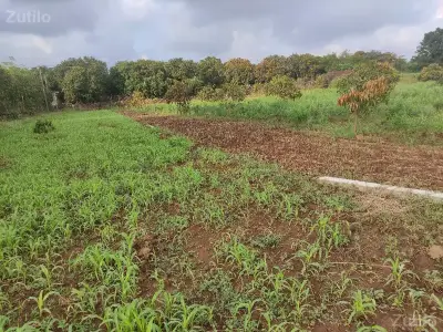 7.5 વિઘા જમીન વેચવાની છે 7.5 વિઘા જમીન વેચવાની છે