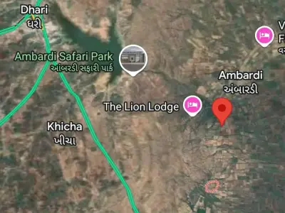 17 Vigha Orchard Land Near Dhari 17 Vigha Orchard Land Near Dhari