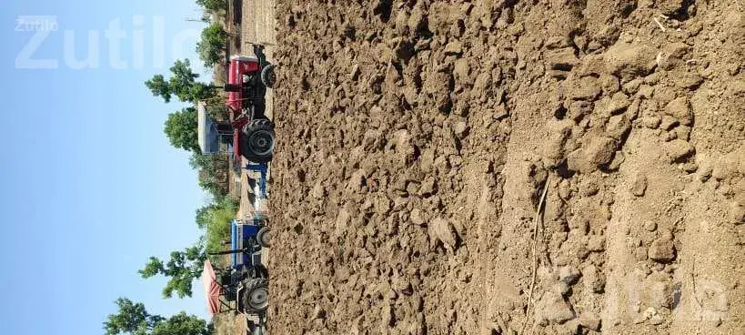 80 Vigha Agricultural Land for Share Farming - Land & Plots - Jesar - Image 3