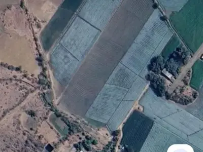 13 Vigha Agricultural Land for Sale 13 Vigha Agricultural Land for Sale