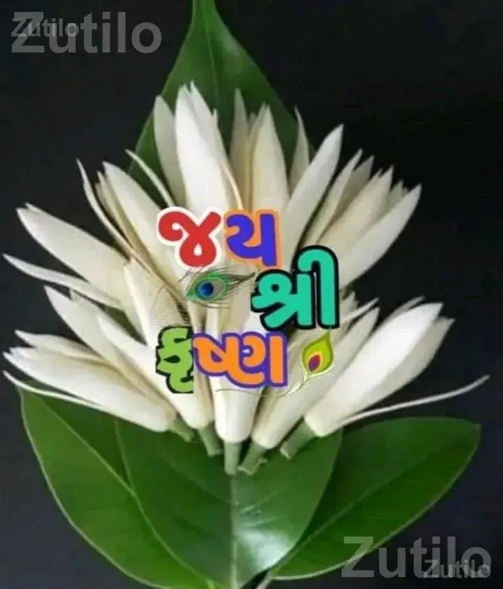 Opener Machine Set with Belt Cutter Handle - મશીનરી - અમરેલી - Image 1