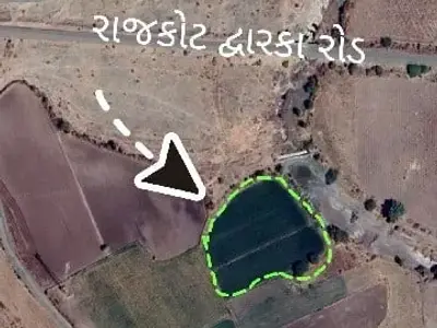 Road Touch Farmland Plot on Rajkot Dwarka Rd Road Touch Farmland Plot on Rajkot Dwarka Rd