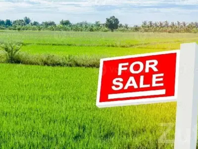 Highway Touch Farm Land at Wankaner Highway Touch Farm Land at Wankaner