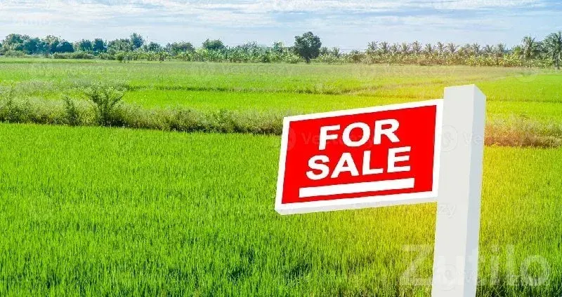 Highway Touch Farm Land at Wankaner - જમીન અને પ્લોટ - વાંકાનેર - Image 1