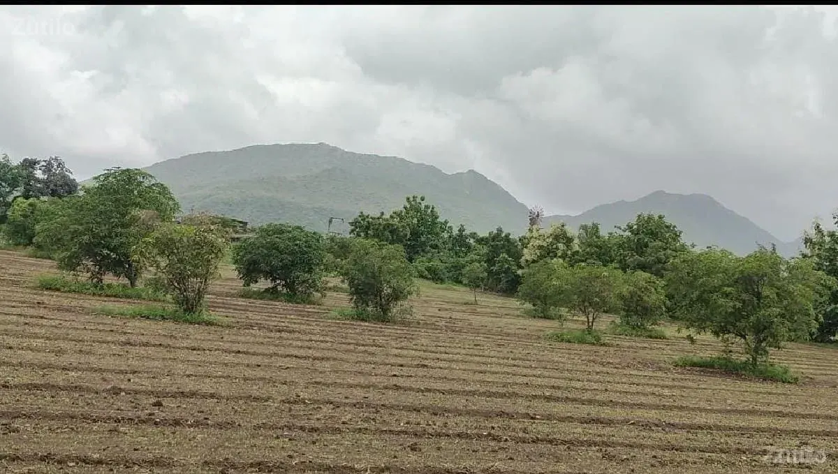 જમીન વેચવાની છે - Land & Plots - Bhanvad - Image 2