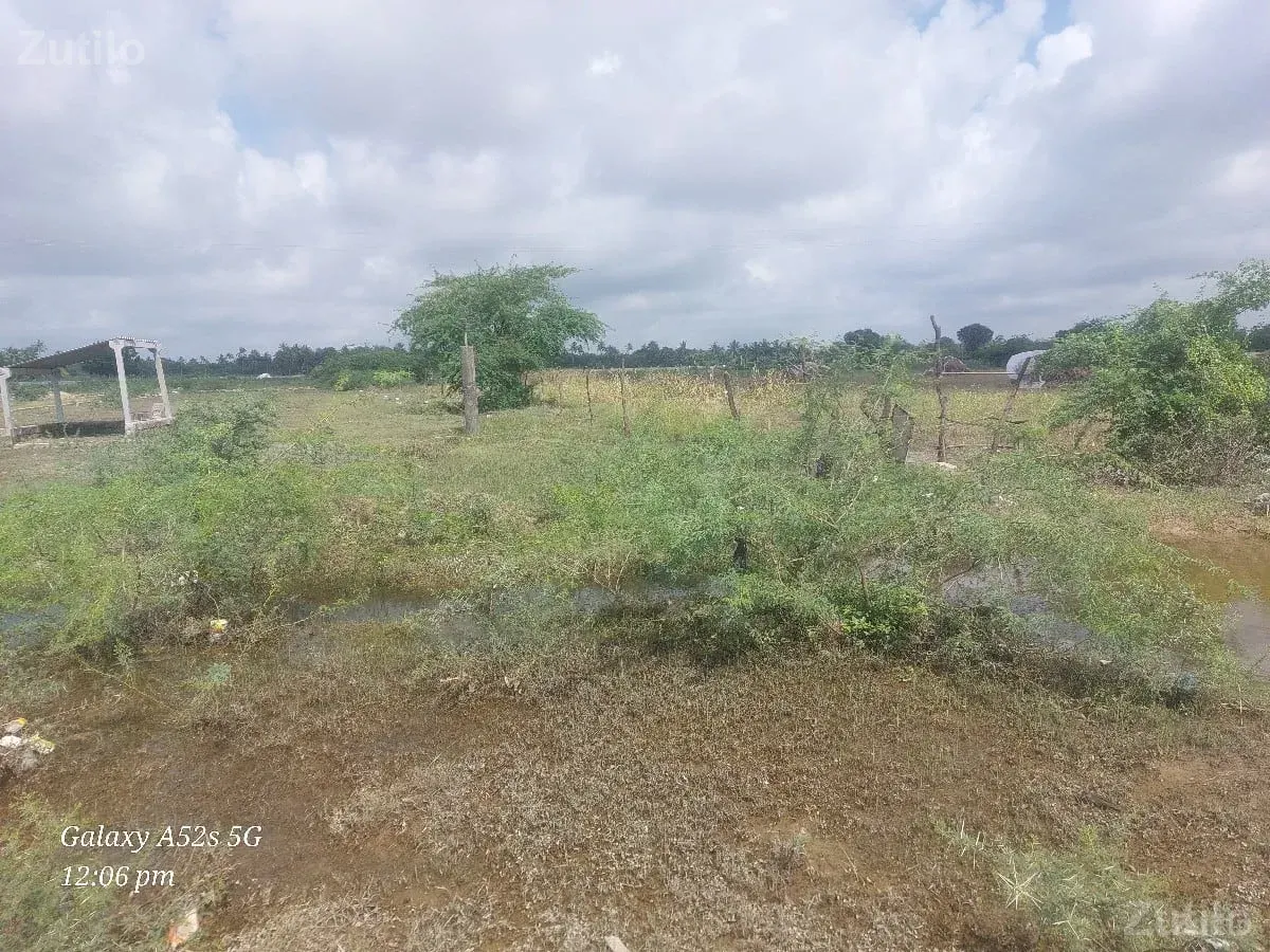 6 વીધા વેસવાની - Land & Plots - Somnath - Image 3