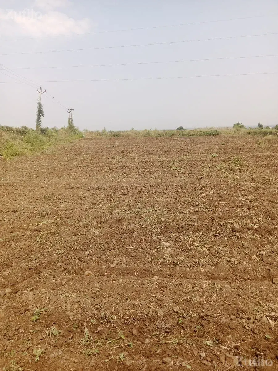 ફૂલ પાણી ત્રણ કિલોમીટર 330 - જમીન અને પ્લોટ - જામજોધપુર - Image 3
