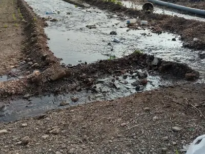 5/6/7//8/જેવીજોતીતવીમણસ