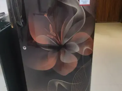 Lg inverter single door refrigerator