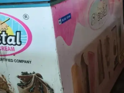 Blue Star Ice Cream Deep Freezer for Sale