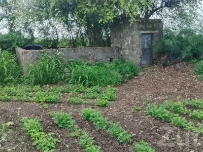 Green Agricultural Land with Well, Sutrapada Green Agricultural Land with Well, Sutrapada
