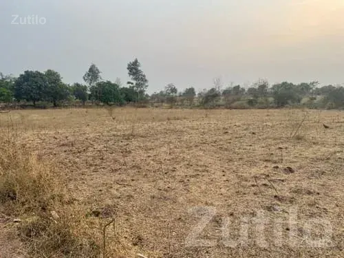 7 Bigha Agricultural Land Songadh - જમીન અને પ્લોટ - સોનગઢ - Image 3