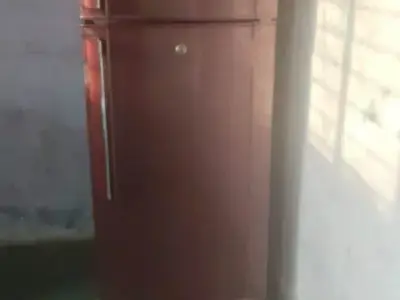 Samsung Double Door Refrigerator 2024 Samsung Double Door Refrigerator 2024