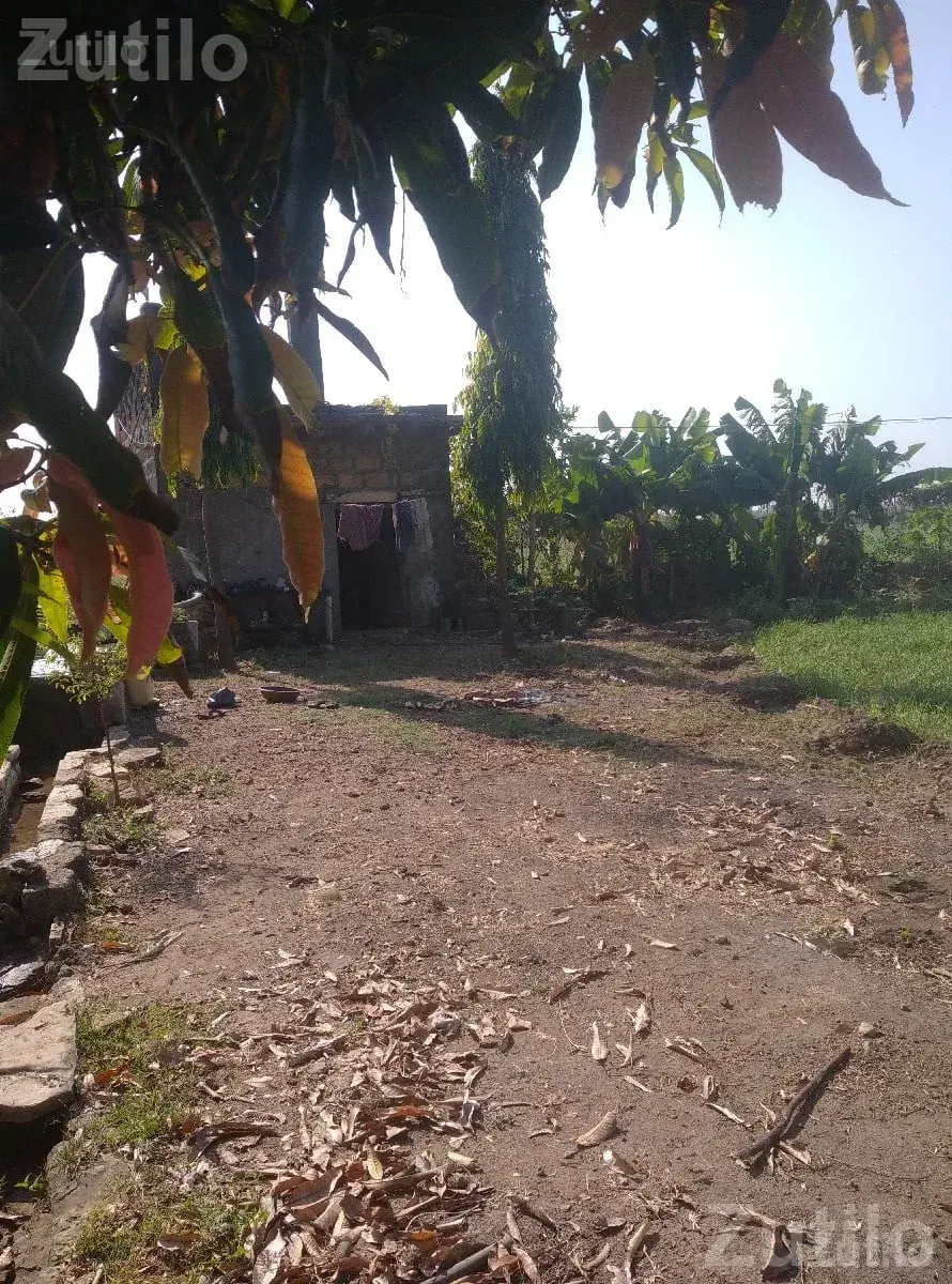 16 Vigha Fertile Agricultural Land for Sale - જમીન અને પ્લોટ - સુત્રાપાડા - Image 3