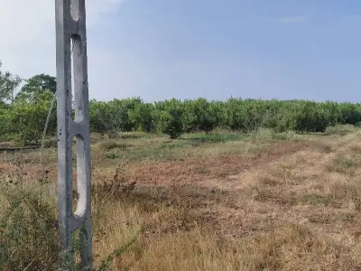 9 vigha jamin vechani se 9 vigha jamin vechani se