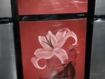 IFB Double Door Refrigerator Floral Design IFB Double Door Refrigerator Floral Design