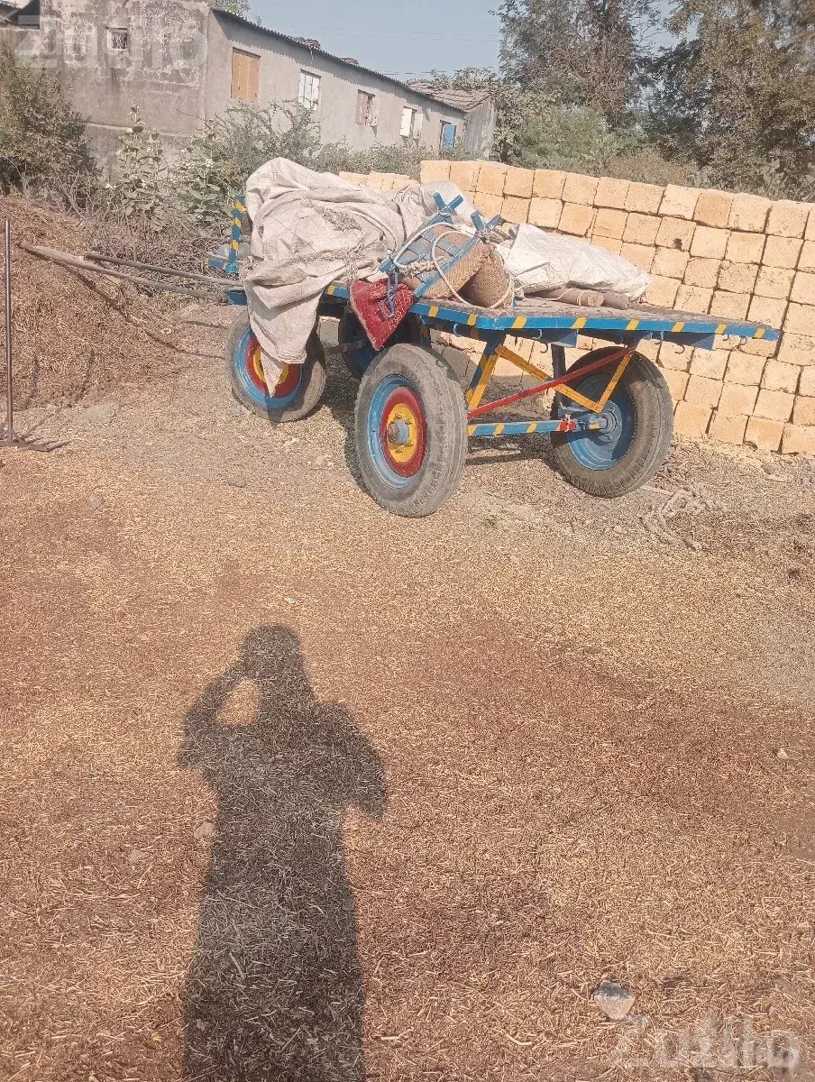 Heavy Duty Utility Cart Trolley for Sale - અન્ય ઔદ્યોગિક વસ્તુઓ - કેશોદ - Image 2