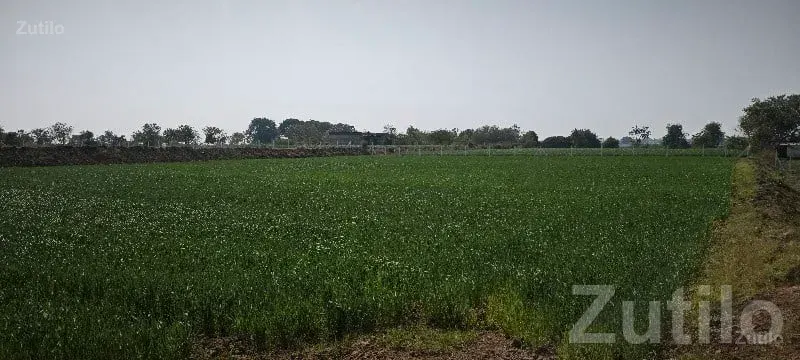 Fenced Open Plot Land in Rajkot - Land & Plots - Rajkot City - Image 2