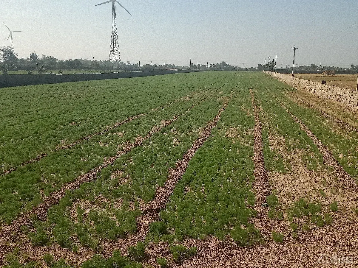 jamin vechva ni chhe - Land & Plots - Gandhinagar City - Image 1