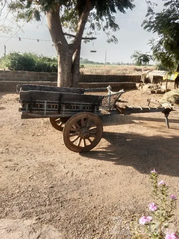 Heavy Duty Wooden Bullock Cart Trailer - બાંધકામના વાહનો - કેશોદ - Image 2