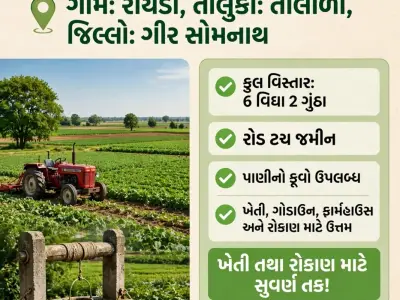 6 vigha 2 gutha jamin vahechvani chhe