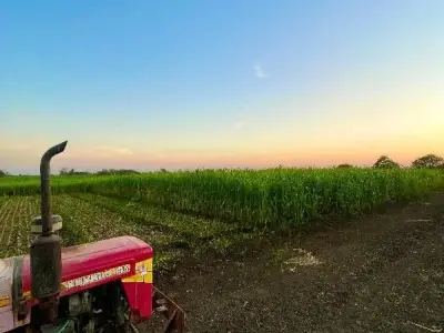 જમીન વેસવાની છે જમીન વેસવાની છે