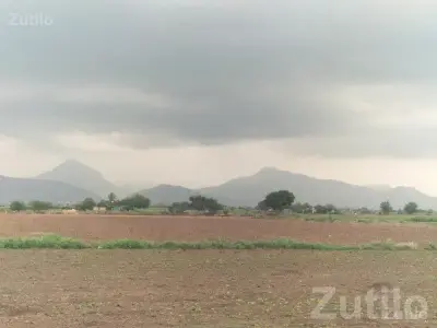Talala Agriculture Land with Mountain View Talala Agriculture Land with Mountain View