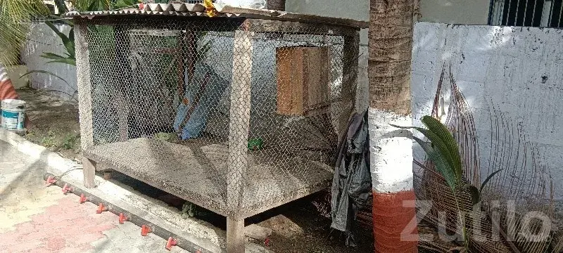 Wooden Wire Mesh Animal Cage for Sale - Miscellaneous - Mangrol - Image 2