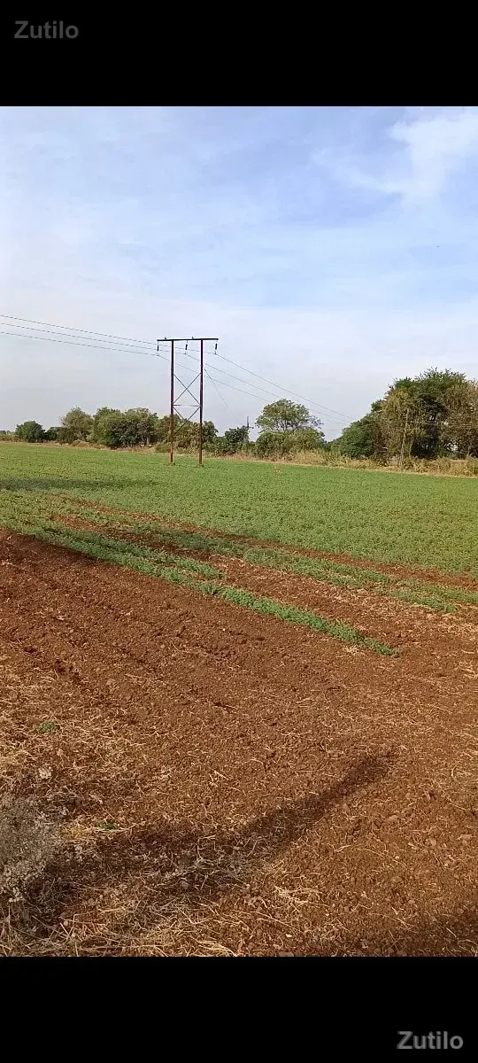 20 vigha rode touch - Land & Plots - Junagadh City - Image 2