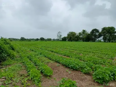 જમીન વેચવાની છે જમીન વેચવાની છે
