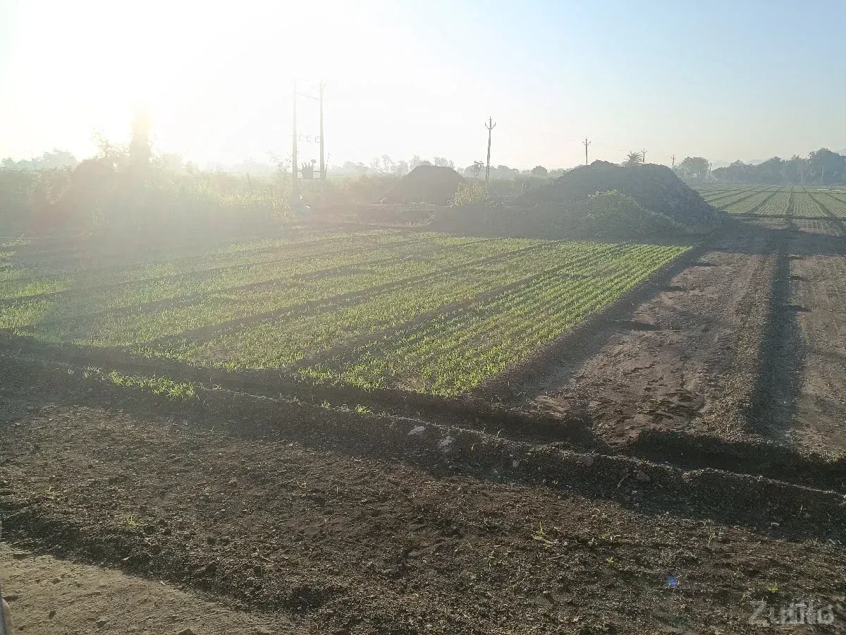 jamen veshvani se - Land & Plots - Bhanvad - Image 2