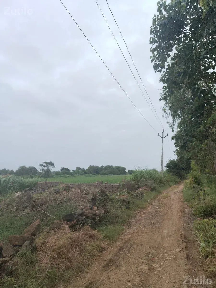 આ જમીન વેચવાની છે - જમીન અને પ્લોટ - સુરત શહેર - Image 3