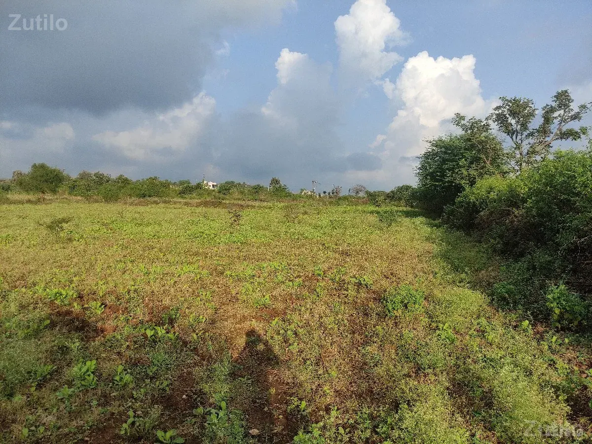 7.5 વિઘા જમીન વેચવાની છે - Land & Plots - Somnath - Image 3
