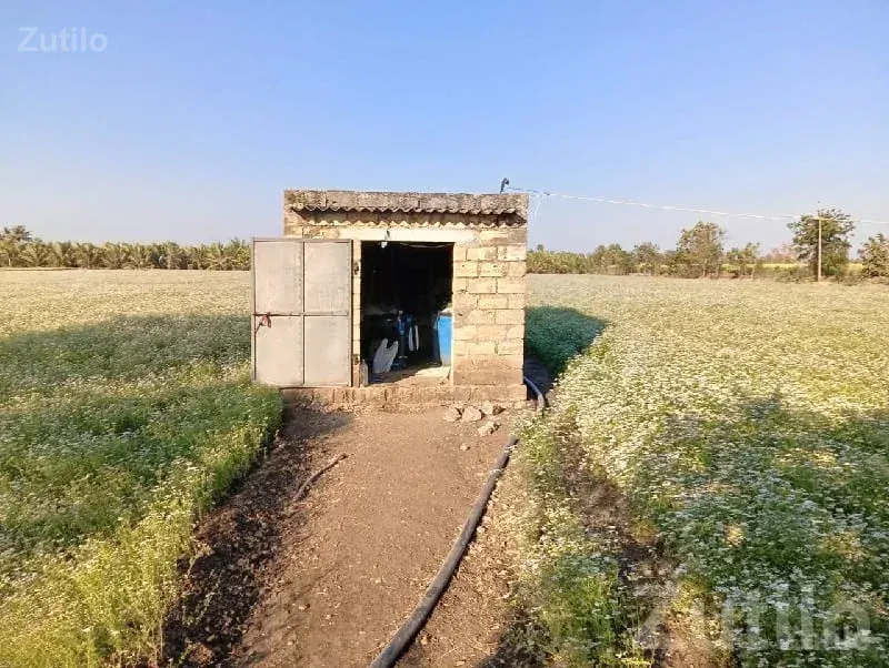 10 Vigha Fertile Flower Farm Land Talala - જમીન અને પ્લોટ - તલાલા - Image 2