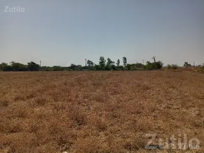Open Agricultural Land Plot for Sale Open Agricultural Land Plot for Sale