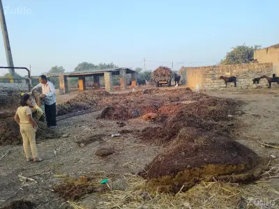 ખાતર ખાતર