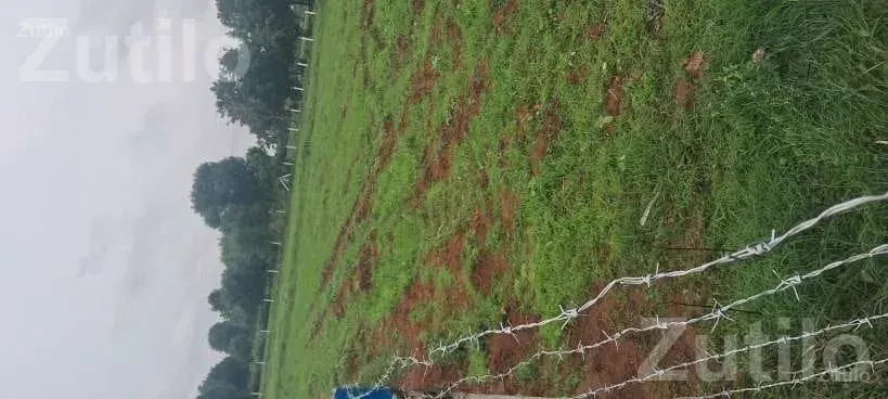 28 Guntha Open Land Plot for Sale - જમીન અને પ્લોટ - દહેગામ - Image 5